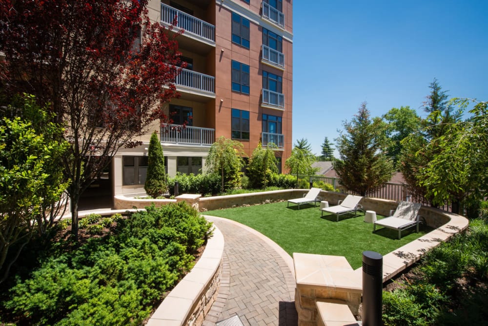 Grassy outdoor courtyard with seating at Solaire 10914 Georgia in Silver Spring, Maryland
