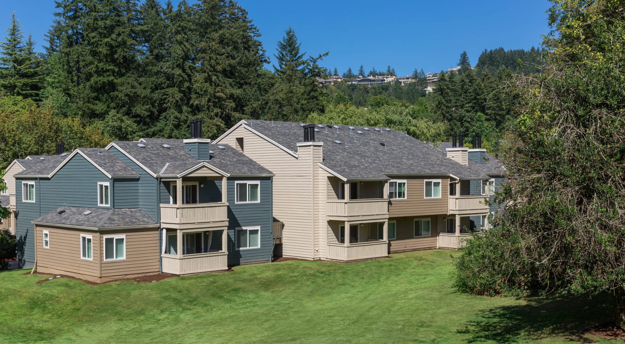 Neighborhood at Haven at Golf Creek in Portland, Oregon 