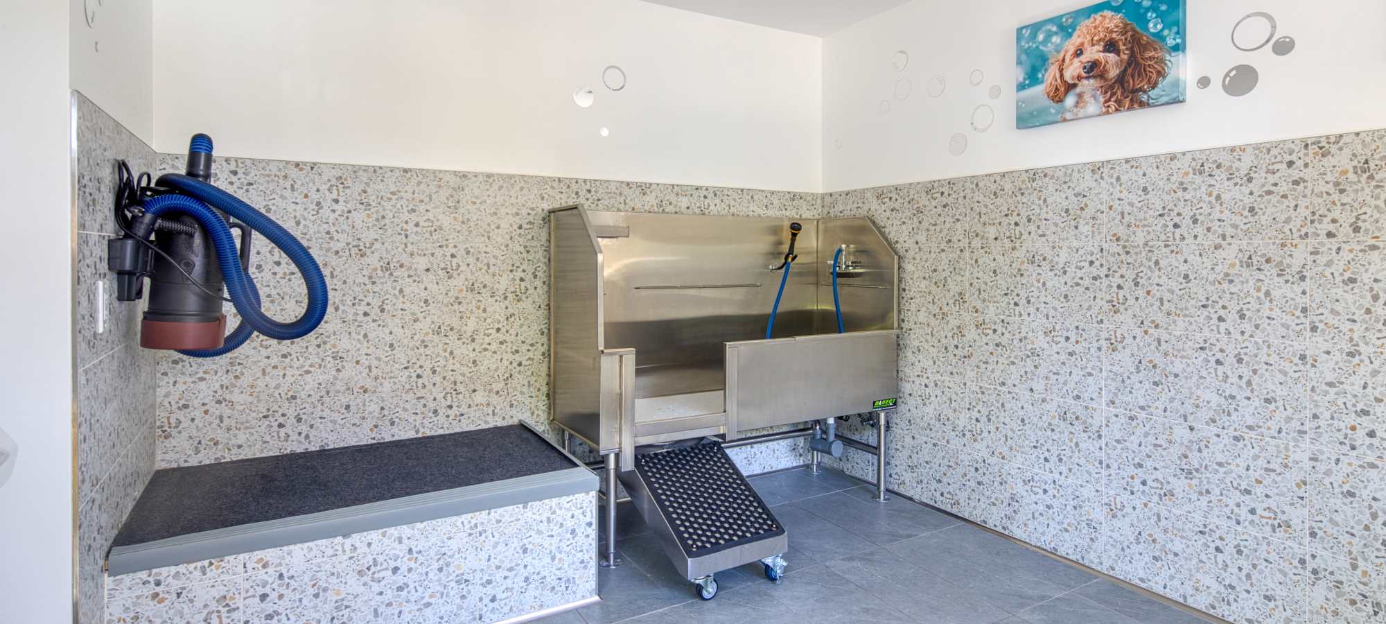 Pet Friendly at Falls at Arden in Sacramento, California