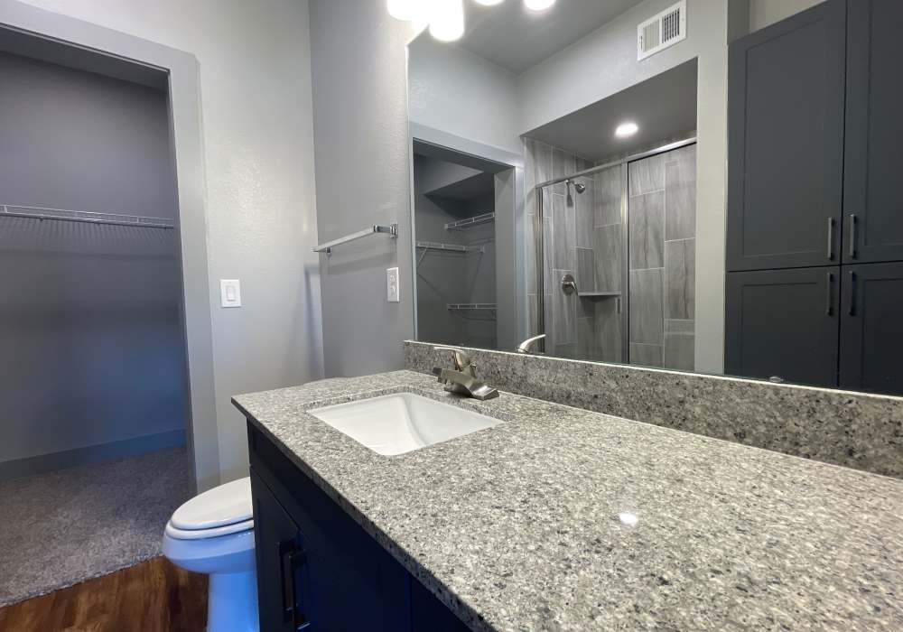 Bathroom with walk-in shower and basin sink at The Bammel in Houston, Texas