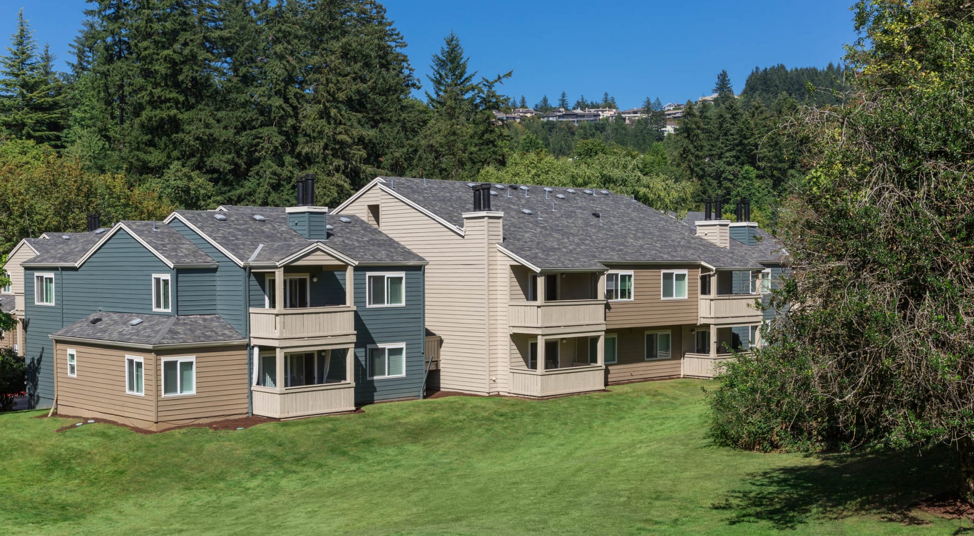 Neighborhood at Haven at Golf Creek in Portland, Oregon