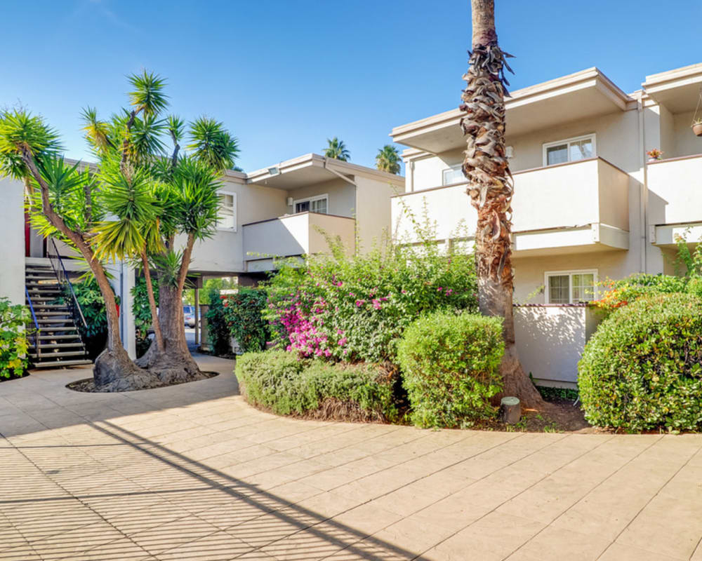 Beautifully landscaped courtyard at Lakeshore Apartments in Concord, California