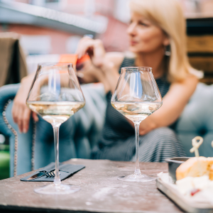 Friends raising a toast to the good life at Parkview Terrace Apartments in Redlands, California