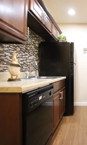 Kitchen with energy efficient appliances at Buffalo Ridge in Princeton, Texas