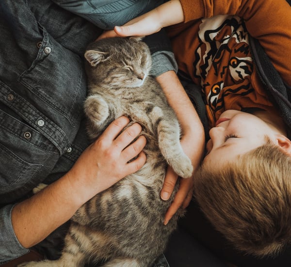 A father and son laying with a cat at EOS in Orlando, Florida