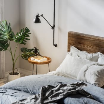 A furnished bedroom with a potted plant at Cypress Creek at River Bend in Georgetown, Texas