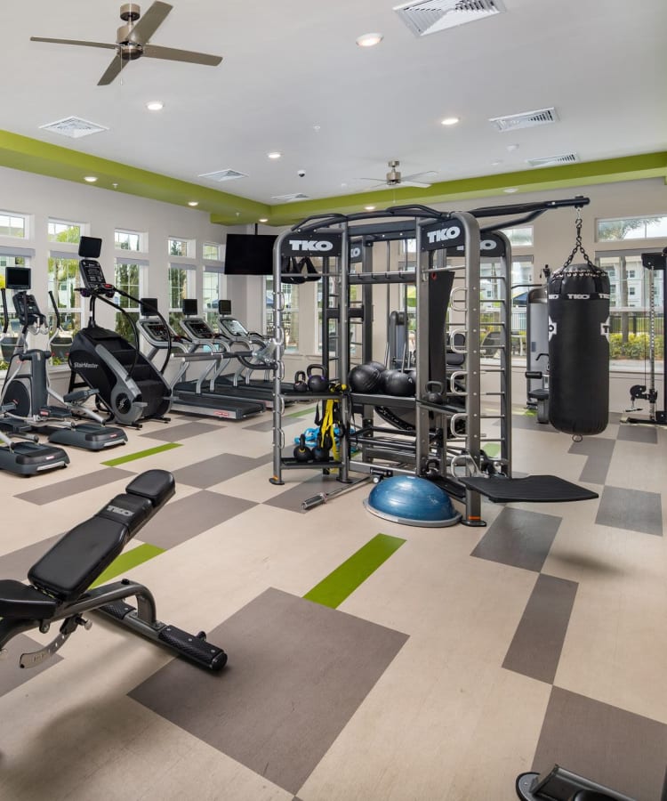Community fitness center with weight machines at The Iris at Northpointe in Lutz, Florida