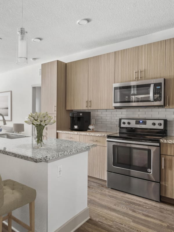 Kitchen with stainless-steel appliances at Lantower Grande Flats in Orlando, Florida
