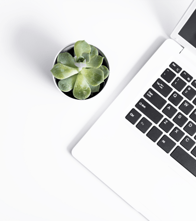 Lap top and a plant at Eucalyptus Real Estate in Oklahoma City, Oklahoma