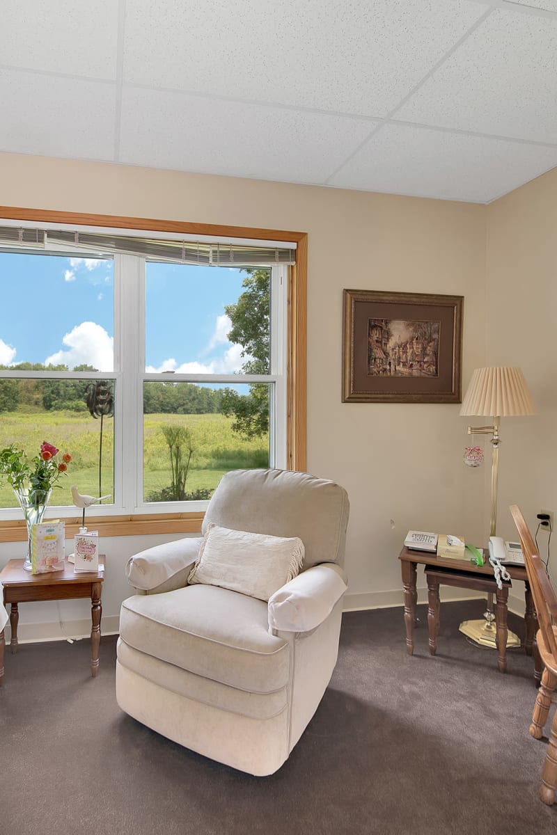 Living room in senior apartment at Wellington Place at Rib Mountain in Wausau, Wisconsin