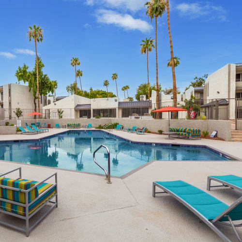 Lounge chairs by the pool at Ardella on 28th in Phoenix, Arizona