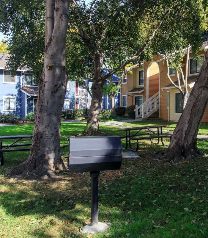 Outdoor grilling area at Amber Court in Fremont, California