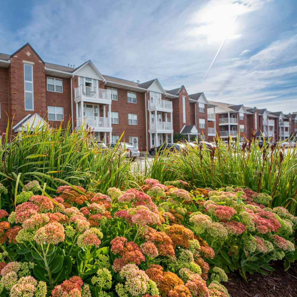 Beautiful landscaping at Parkside Estates, Canonsburg, Pennsylvania