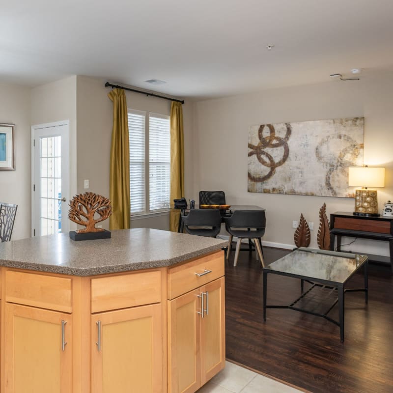 Spacious apartment at Commons on Potomac Square, Sterling, Virginia