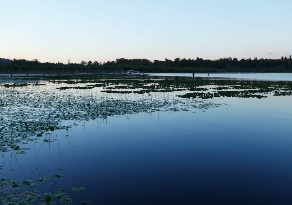 View of beach at The Docks at Redmond Lakeview in Redmond, Washington