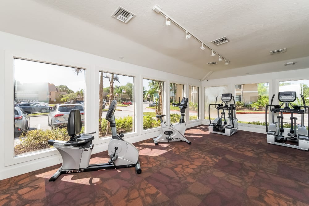 Fitness center at Tuscany Pointe at Tampa Apartment Homes in Tampa, Florida