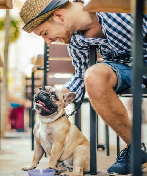 Resident and his pup sitting at an outdoor restaurant near Accent Suwanee Creek in Duluth, Georgia