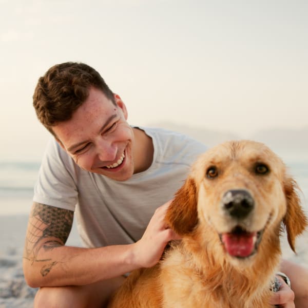 Explore the neighborhood around Viva at New Smyrna Beach in New Smyrna Beach, Florida