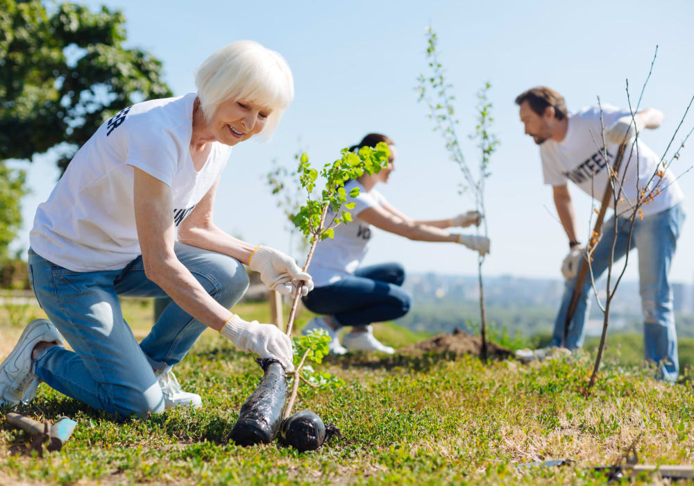 Engage and contribute at Maplewood at Darien Darien