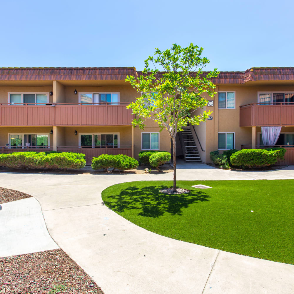 Landscaped grounds at Volterra at La Mesa in La Mesa, California