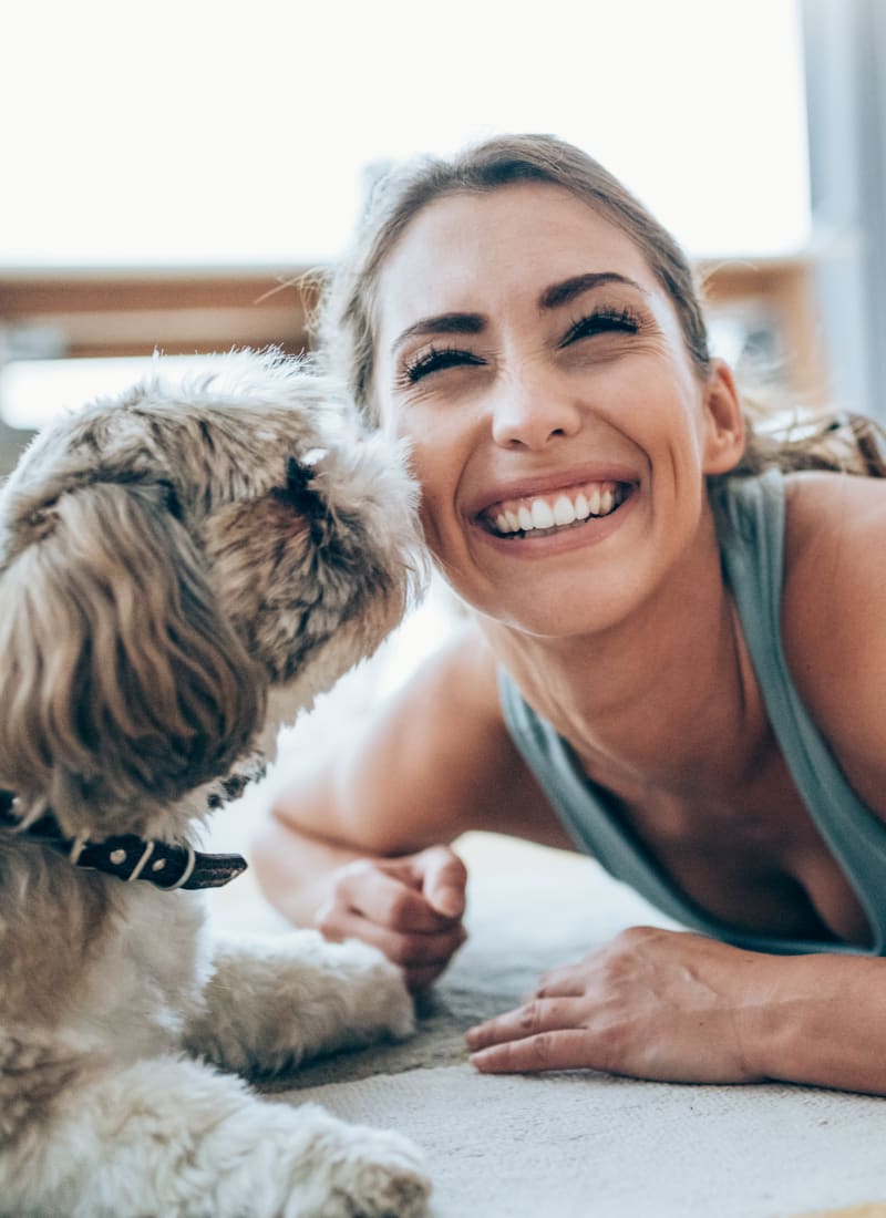 Pet fees at Marquis at Barton Trails in Austin, Texas