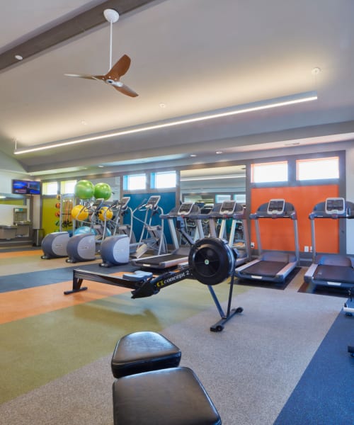 Fitness center with a variety of equipment at Lakeside Terraces in Sterling Heights, Michigan