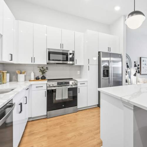 Evergreen-westside-apartments-gainsville-florida-new-apartment-kitchen-with-quartz-countertops (Large)