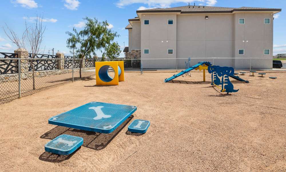 Dog park wit training equipment at Retreat at Horizon Hills in El Paso, Texas