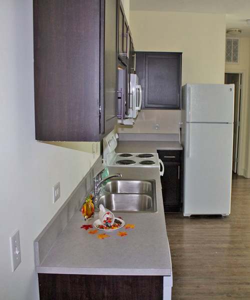 Spacious kitchen for cooking at Lincoln House in Owosso, Michigan