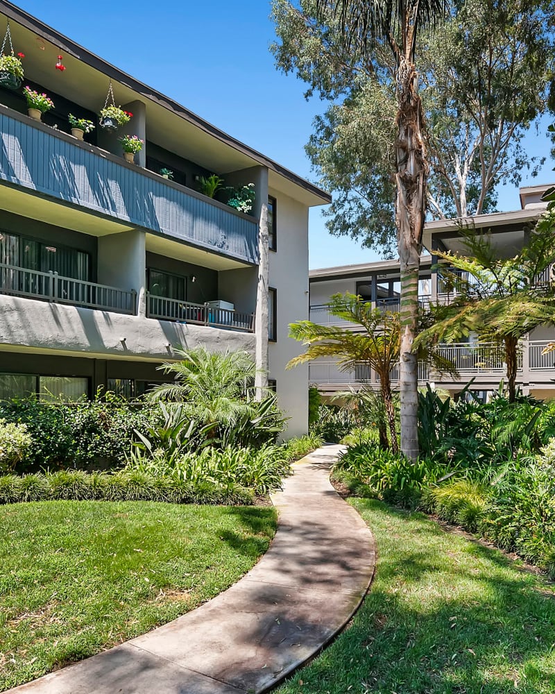 A path surrounded by lush landscaping at Alura, Woodland Hills, California