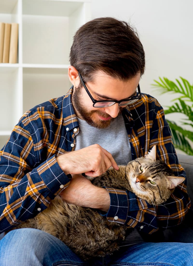 No pet weight limits at Marquis on Edwards Mill in Raleigh, North Carolina
