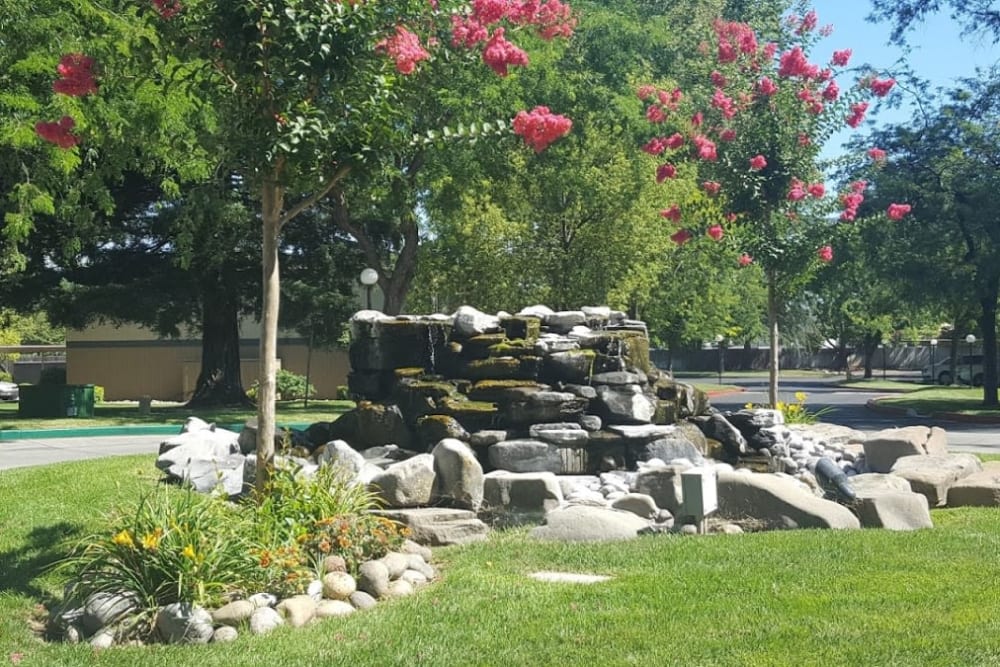 Exterior landscaping at  Glenbrook Apartments in Chico, California