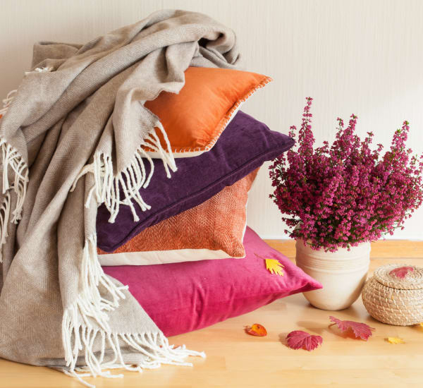 Fabulous blankets and pillows at Wheeler Terrace in Washington, District of Columbia