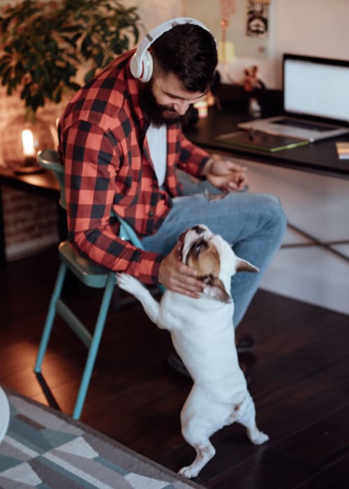 Resident and his dog at The Dalton in Pflugerville, Texas