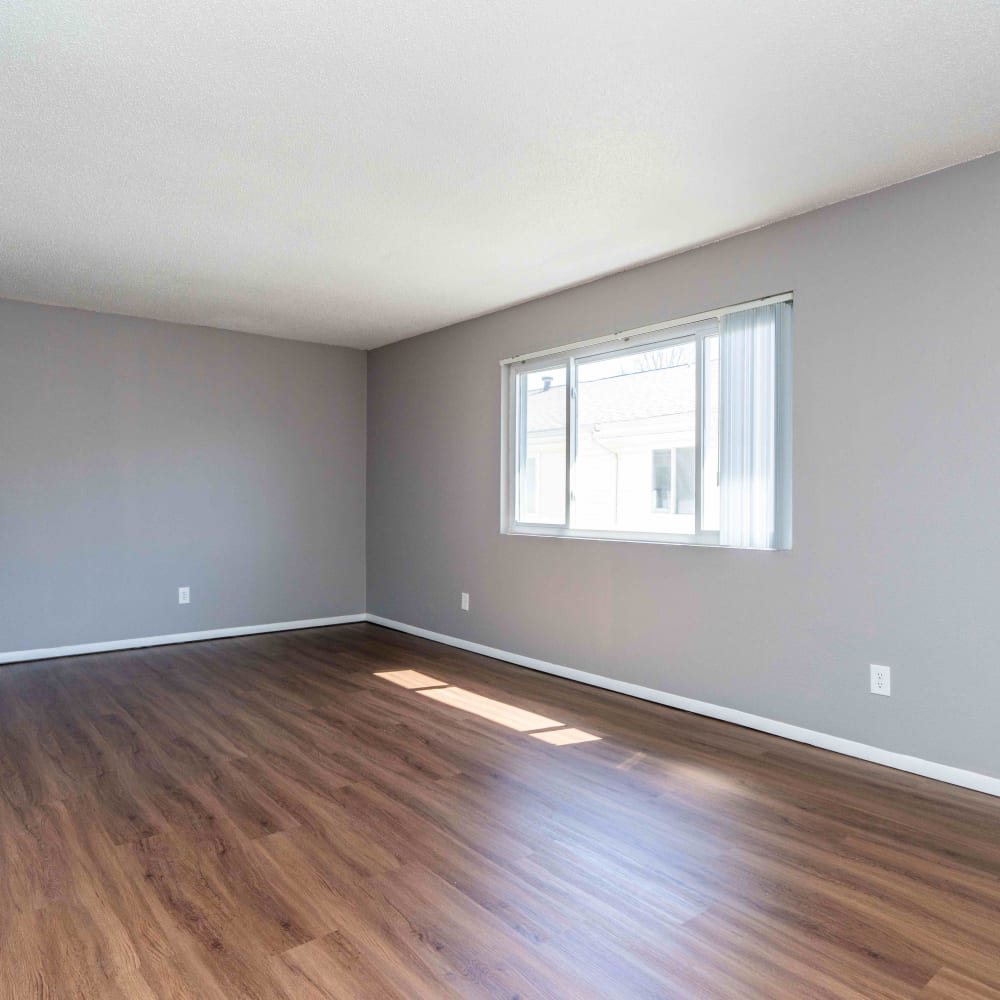 Living room with hardwood floors at Dickinson Apartments in Springfield, Illinois