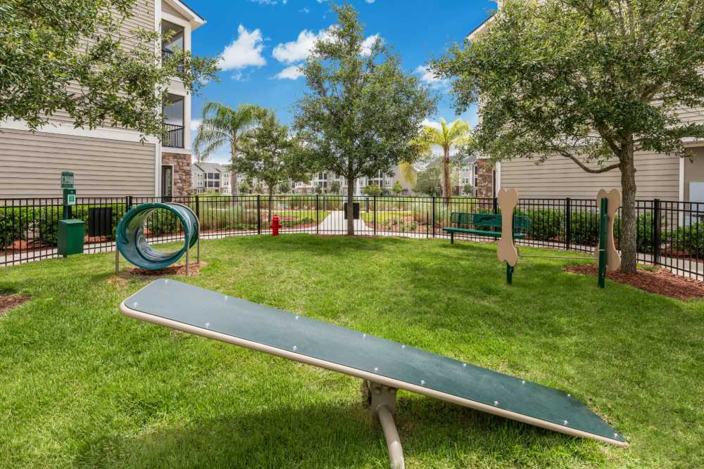 Outdoor dog park at Art Avenue Apartment Homes in Orlando, Florida