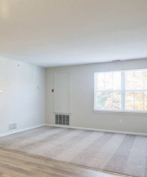 Spacious bedroom with wood-style flooring and large window for natural light at The Vinings at Christiana Apartments in Newark, Delaware