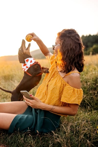 Resident with her dog at park near Nolan Living in Leawood, Kansas