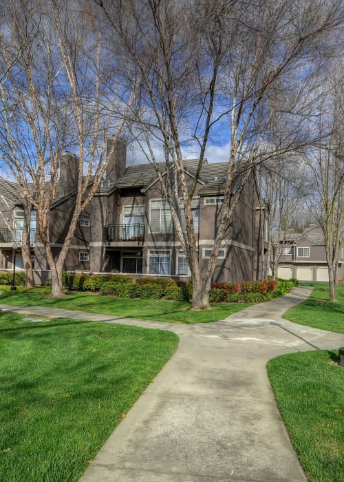 Plenty of grass for your four-legged friends at Larkspur Woods in Sacramento, California