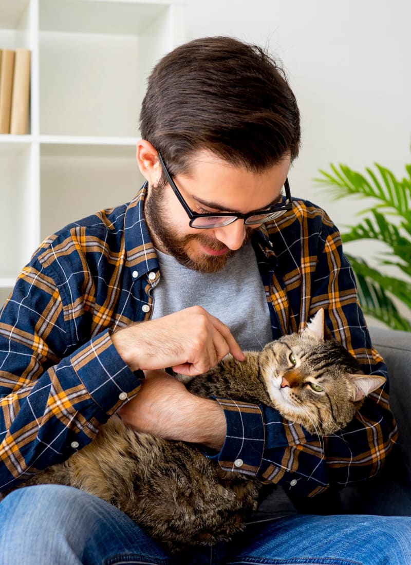 Pet fees at Brooks on Preston in Plano, Texas
