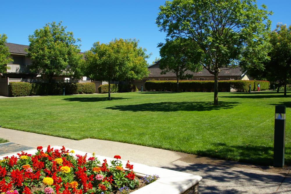 Lush landscaping at Village Green Apartments in Cupertino, California