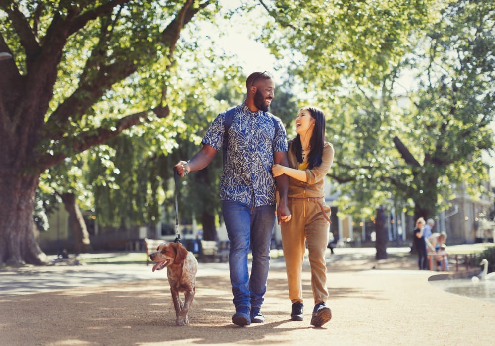 Happy couple walking their dog in a sunny park near South Block Apartments in Salem, Oregon