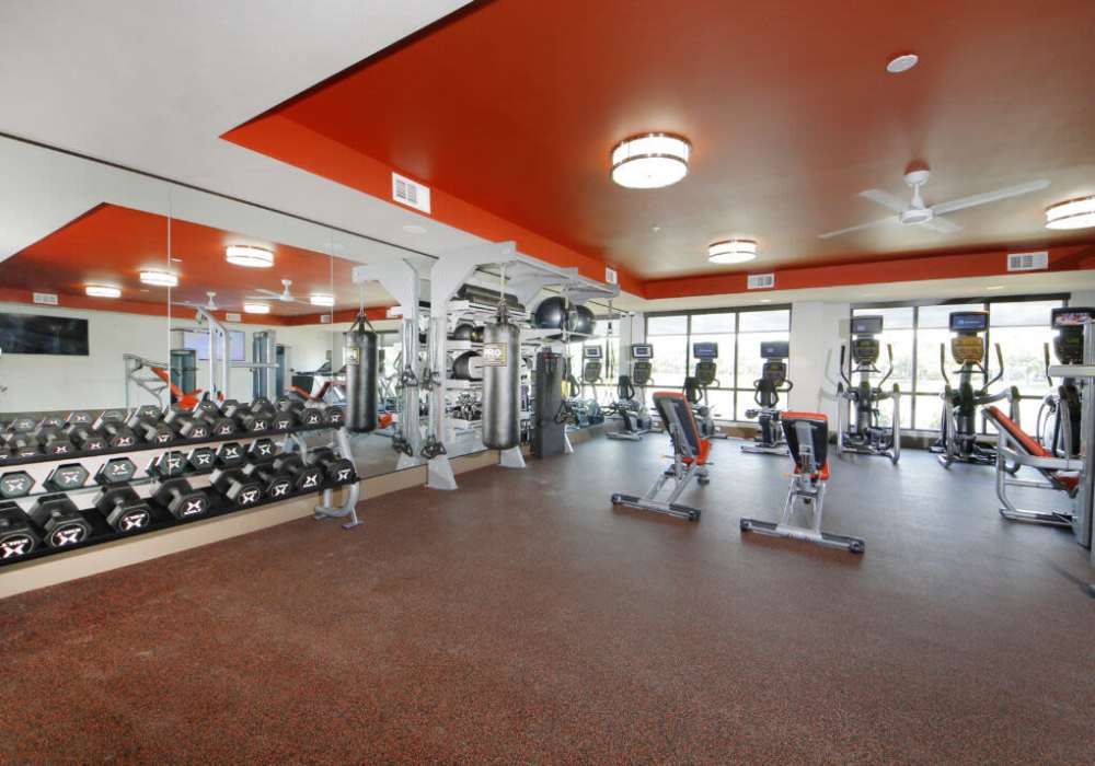Modern fitness center with gym equipment and vibrant decor at Messina Luxury Apartments in New Smyrna Beach, Florida