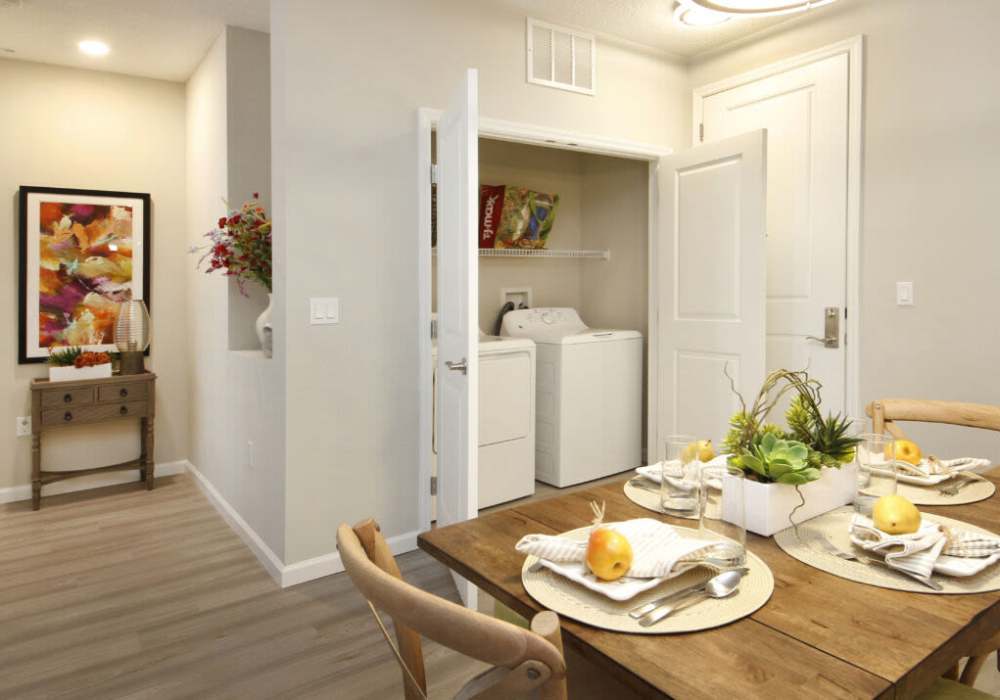 Modern dining area with laundry space and vibrant decor at Messina Luxury Apartments in New Smyrna Beach, Florida