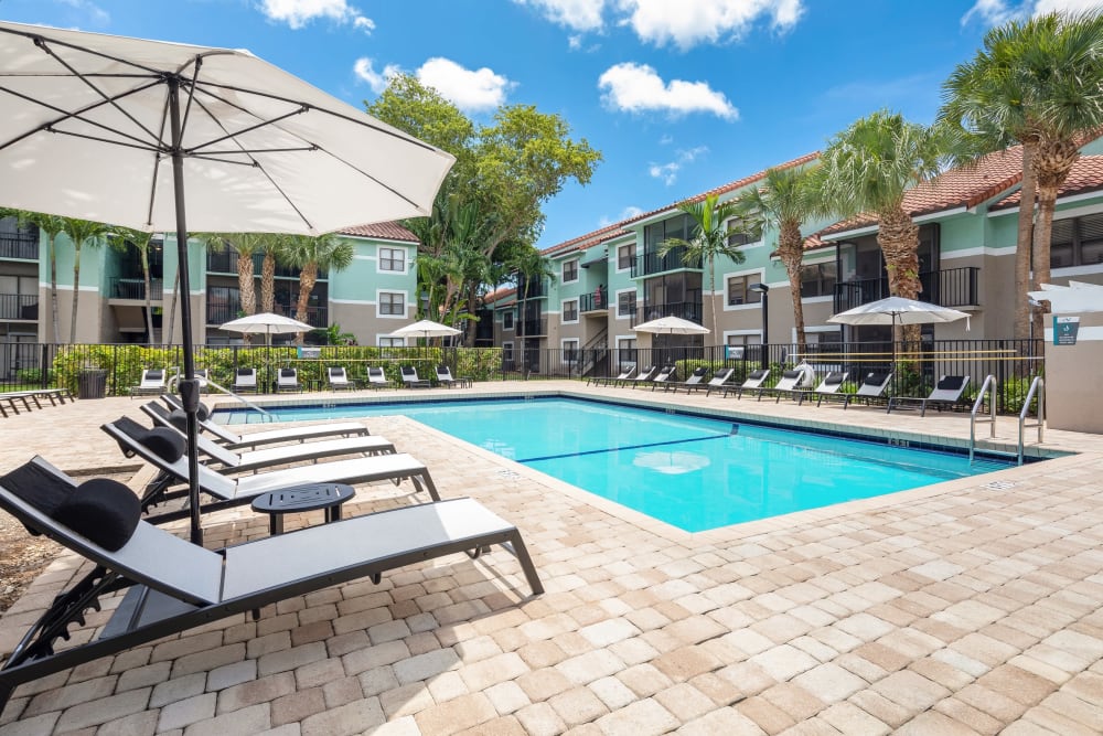 Shaded lounge chairs by the outdoor pool at The EnV in Hollywood, Florida