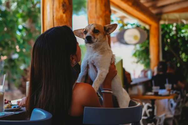 pet friendly restaurant