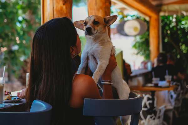 PET FRIENDLY PATIO NEARBY 