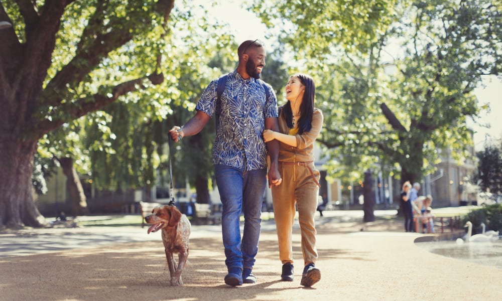 Couple walking with their dog at Keystone Apartments in Madison, Wisconsin