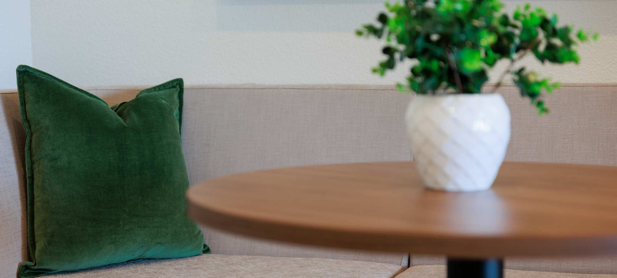 Couch and plant on table at Walnut Springs in Seguin, Texas
