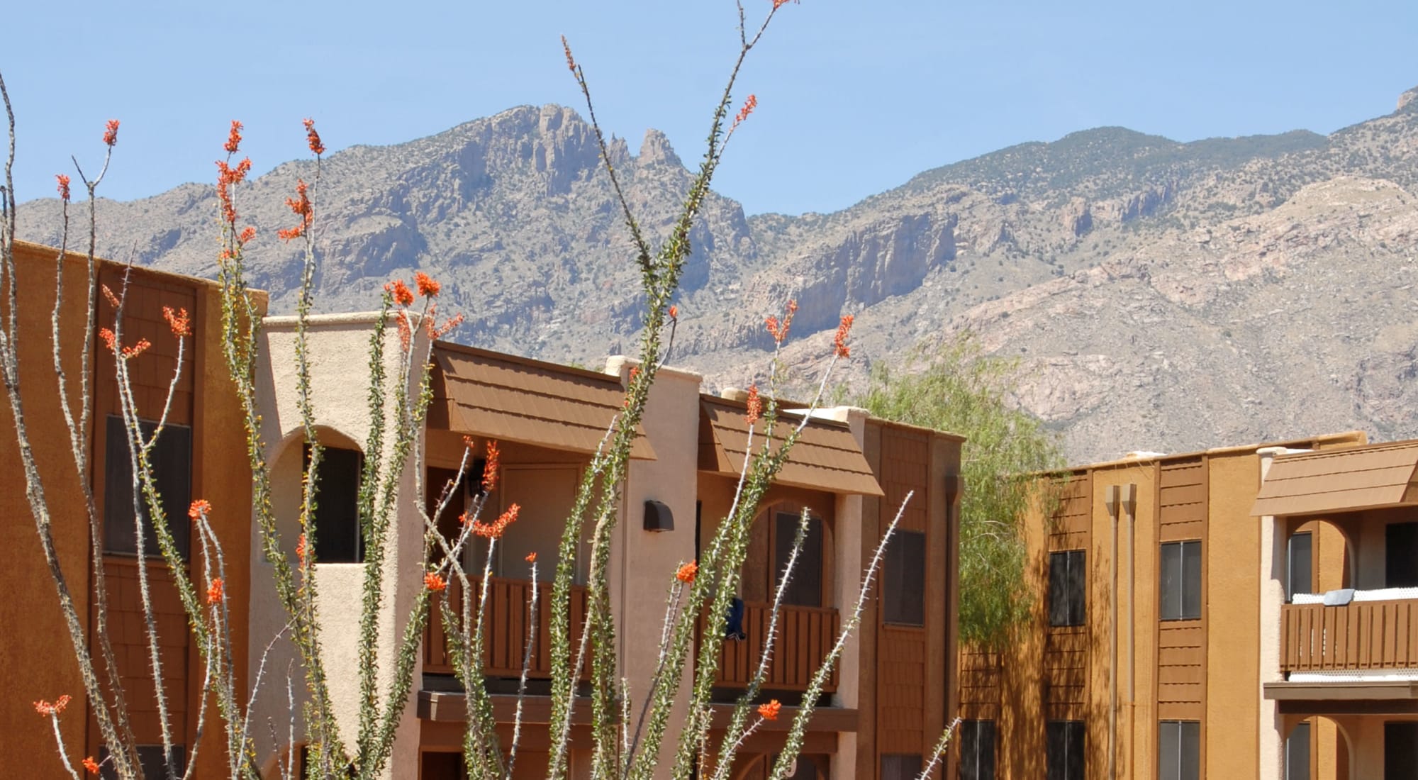 Apartments at Elevation Apartments in Tucson, Arizona
